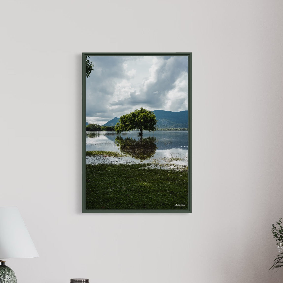 Loneliness of a Wild Lake - Kuu Concept Store