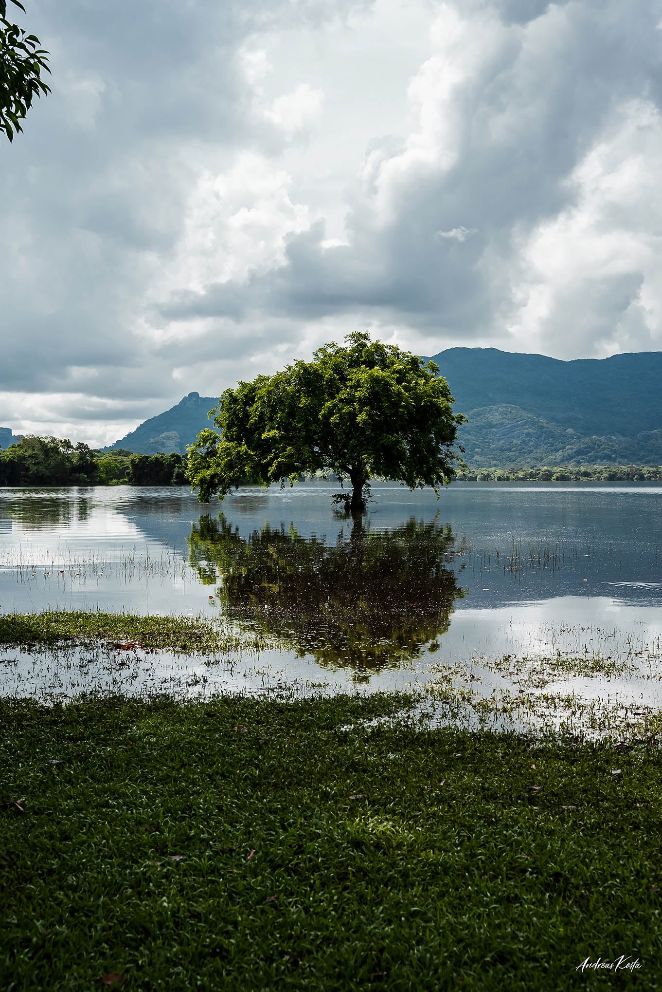 Loneliness of a Wild Lake