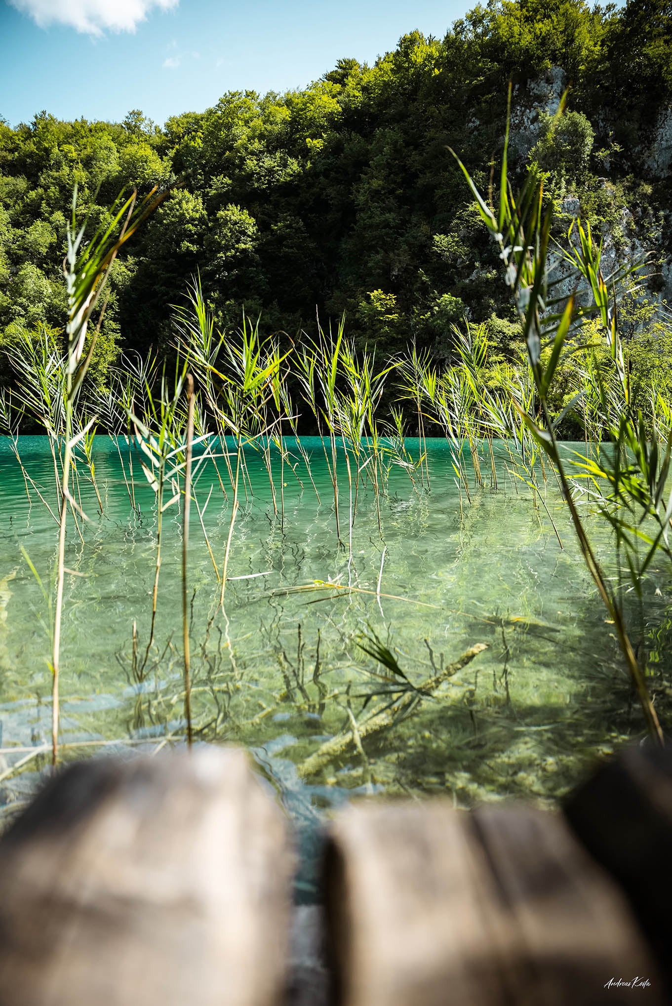 Peaceful Green